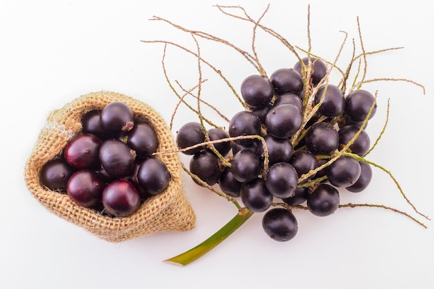 Acai fruit on a white background Euterpe Oleracea