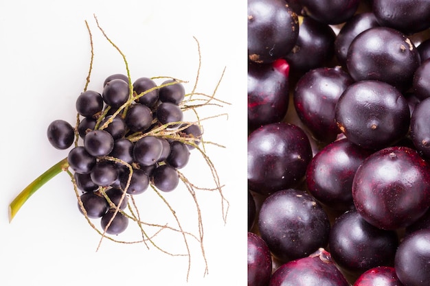 Frutta acai su sfondo bianco _ euterpe oleracea