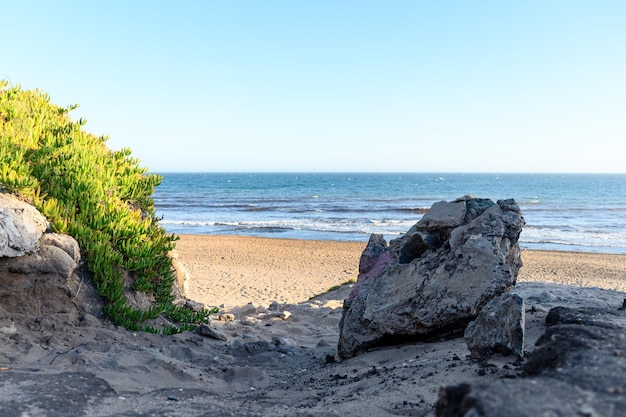 Access to a beach between dunes vegetation and stones