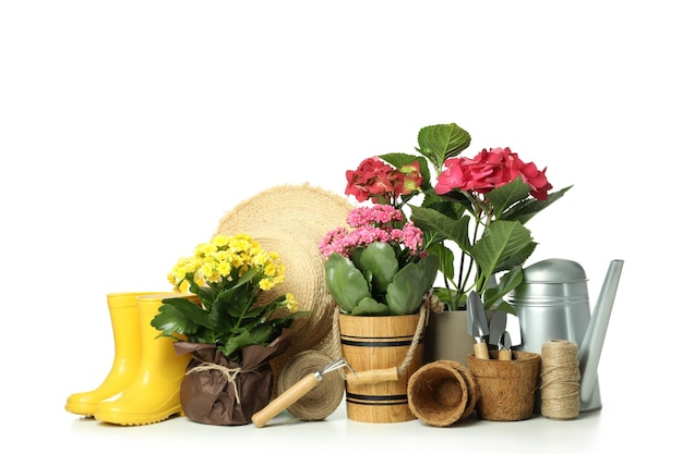 Accessories and tools for gardening isolated on white background