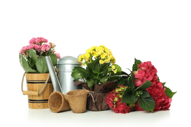 Accessories and tools for gardening isolated on white background