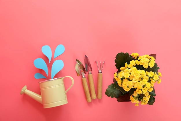 Accessories and tools for gardening on pink background