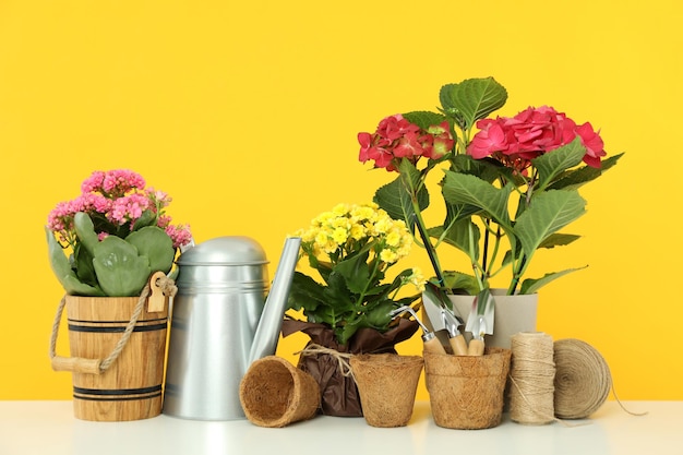 accessories and tools for gardening on white table against yellow background