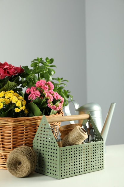 Accessories and tools for gardening on white table