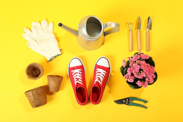 Accessories and tools for gardening on yellow background