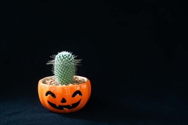 Accessory of decorations happy halloween day background concept with cactus plant