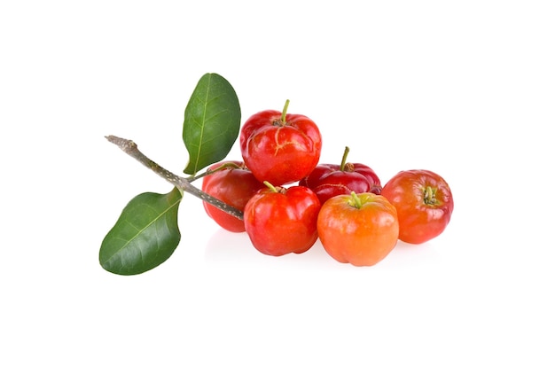 사진 acerola 작은 체리 과일 잎이  바탕에 고립되어 있습니다.