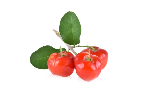 Acerola small cherry fruit with leaf isolated on white background