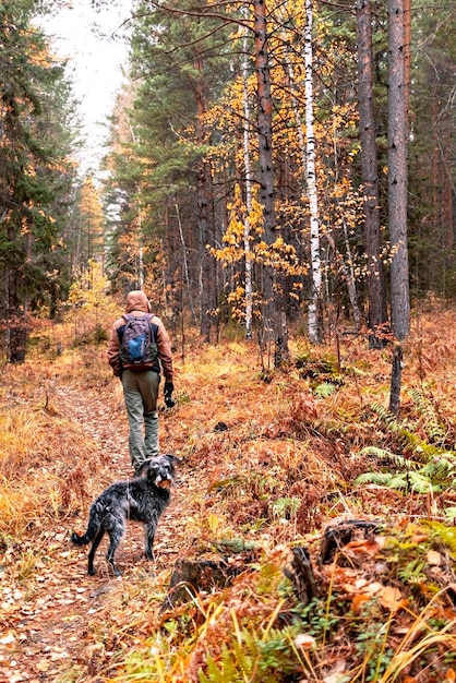 achteraanzicht van de man die op herfstbospad loopt met pluizige grijze hond wandelende hond in herfstliefde voor huisdieren