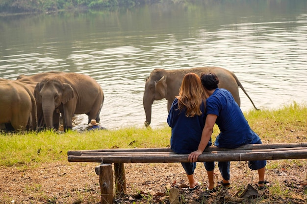 Achteraanzicht van een jong stel kijkend naar een kudde Aziatische olifanten die baden in de rivier van het nationale park