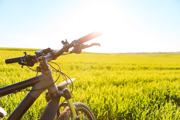 Achteraanzicht van een man met een fiets tegen de blauwe lucht. fietser rijdt op een fiets.