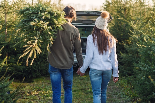 Achteraanzicht van een mooi jong stel met een mooie kerstboom naar hun auto tussen de dennenboomplantages.