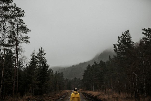 Achteraanzicht van een vrouw in een gele windjack die in een mistig bos staat