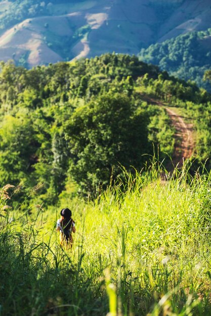 Achteraanzicht van een vrouwelijke reiziger die door de groene bergen wandelt