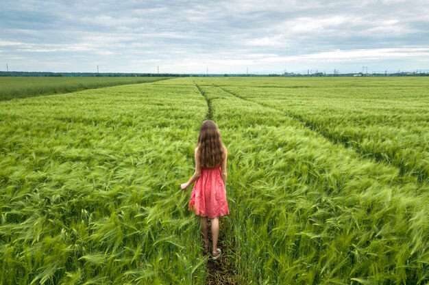 Achteraanzicht van jonge romantische slanke vrouw in rode jurk met lang haar lopen in groen veld op zonnige zomerdag