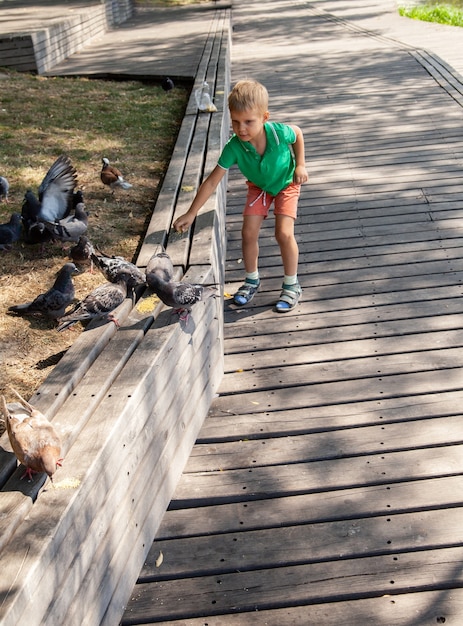 Achteraanzicht van kleine jongen die duiven voedt met broodkruim in zomerdag in park