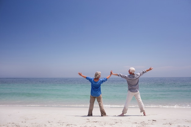 Achteraanzicht van senior paar staande op het strand