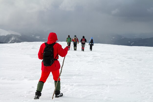 Achteraanzicht van wandelaars lopen op besneeuwde heuvel in de bergen van de winter