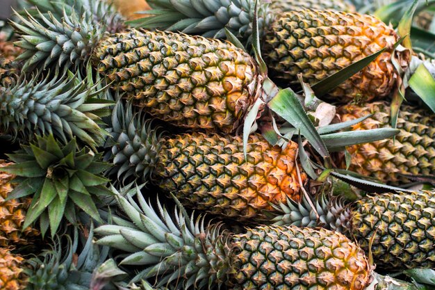 Achtergrond ananas fruit