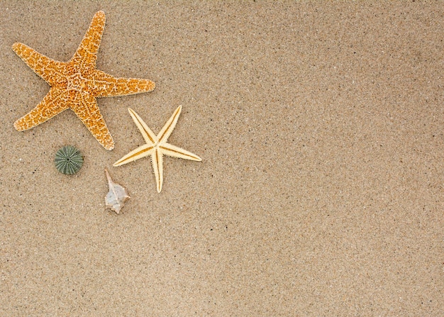 Achtergrond met advertentieruimte voor strand- en zomervakantie