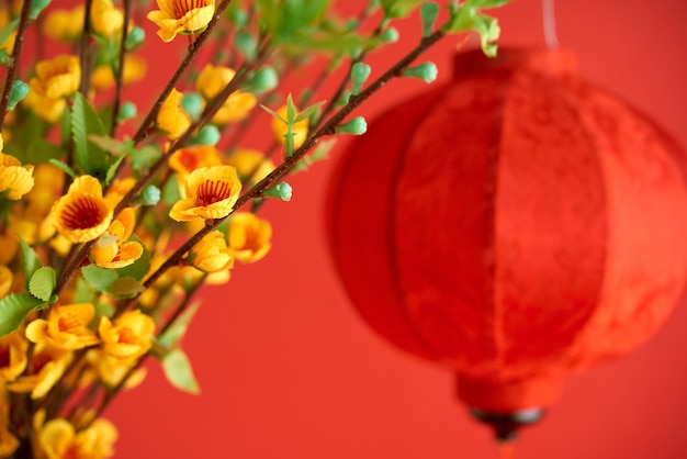 Achtergrond met kleine gele bloemen op abrikozentakken en zijden rode lantaarn voorbereid op Chinees Nieuwjaarsfeest