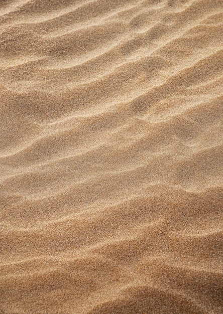 Achtergrond met strand zand golf close-up Zandduinen op een zonnige zomerdag Vrije ruimte voor tekst