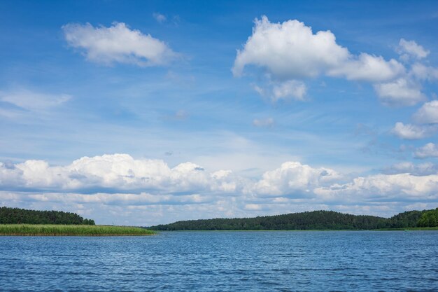 Achtergrond met zomerlandschap meer en groene bomen cumulus wolken in de lucht