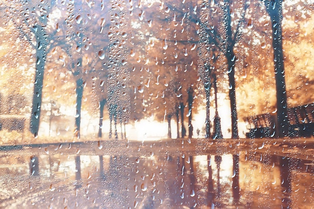 achtergrond nat glas laat de herfst vallen in het park / uitzicht op het landschap in het herfstpark vanuit een nat raam, het concept van regenachtig weer op een herfstdag