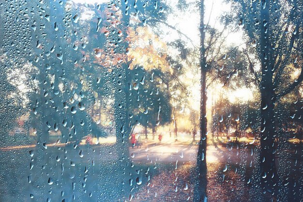 achtergrond nat glas laat de herfst vallen in het park / uitzicht op het landschap in het herfstpark vanuit een nat raam, het concept van regenachtig weer op een herfstdag