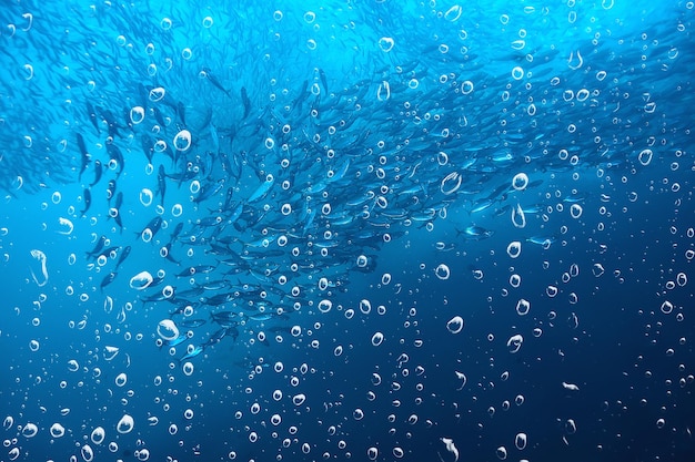 achtergrond onderwater luchtbellen rif / abstracte zee achtergrond, duiken, natuur, oceaan