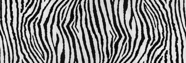 Achtergrond patroon textuur behang zebra print