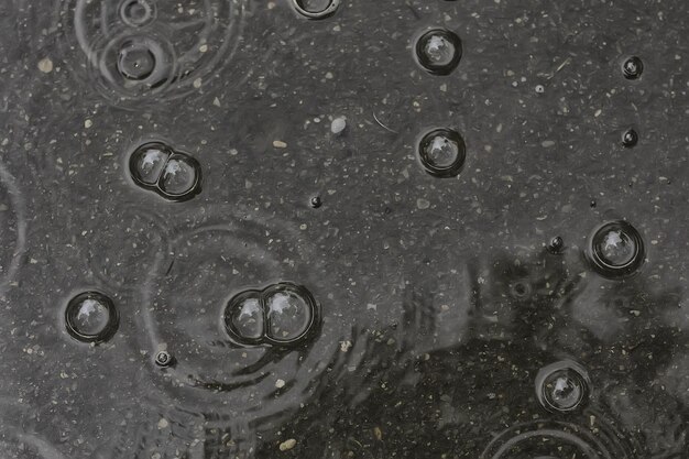 achtergrond plas regen / cirkels en druppels in een plas, textuur met bubbels in het water, herfstregen