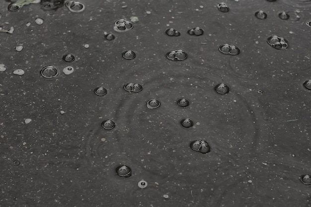 achtergrond plas regen / cirkels en druppels in een plas, textuur met bubbels in het water, herfstregen