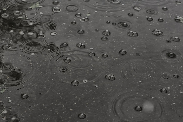 achtergrond plas regen / cirkels en druppels in een plas, textuur met bubbels in het water, herfstregen