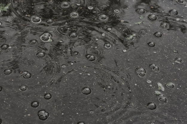 achtergrond plas regen / cirkels en druppels in een plas, textuur met bubbels in het water, herfstregen