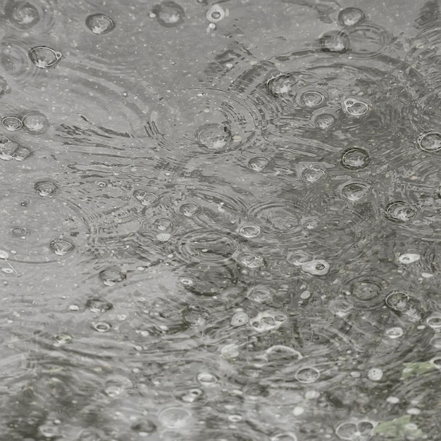 achtergrond plas regen / cirkels en druppels in een plas, textuur met bubbels in het water, herfstregen