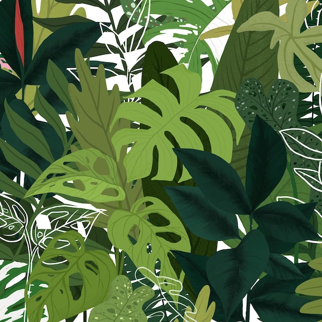 Achtergrond PNG groene tropische illustratie