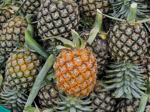 Achtergrond van ananas fruit.