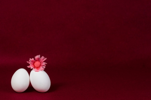 Foto achtergrond van bourgondië met twee eieren en een bloem