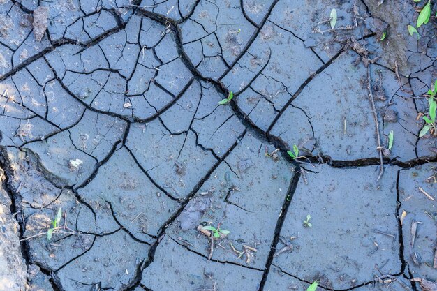 Achtergrond van de gebarsten droge grond. Opwarming van de aarde