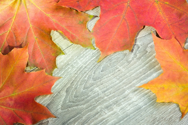 Achtergrond van de herfst rode bladeren op het hout