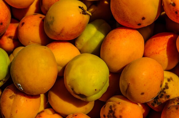 Achtergrond van de verse rijpe abrikozenvruchten