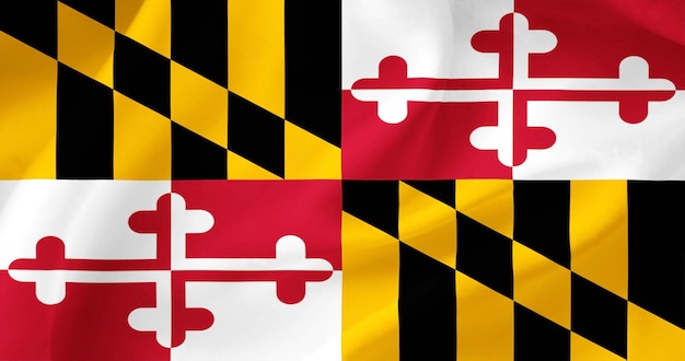 Achtergrond van de vlag van de Amerikaanse staat Maryland Illustratie Textuur