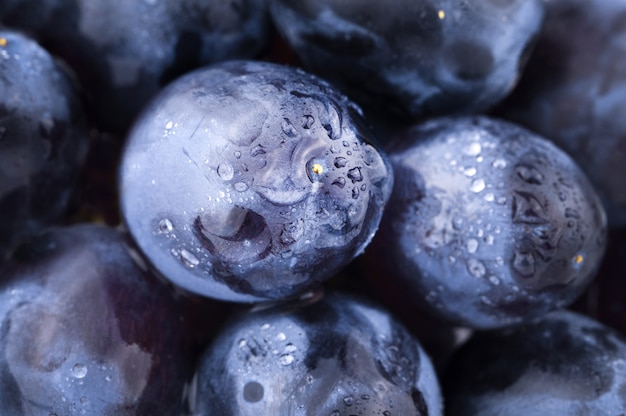 Achtergrond van donkerblauwe druiven in waterdruppels