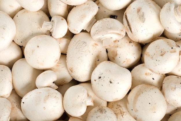 Achtergrond van een hoop rauwe champignons