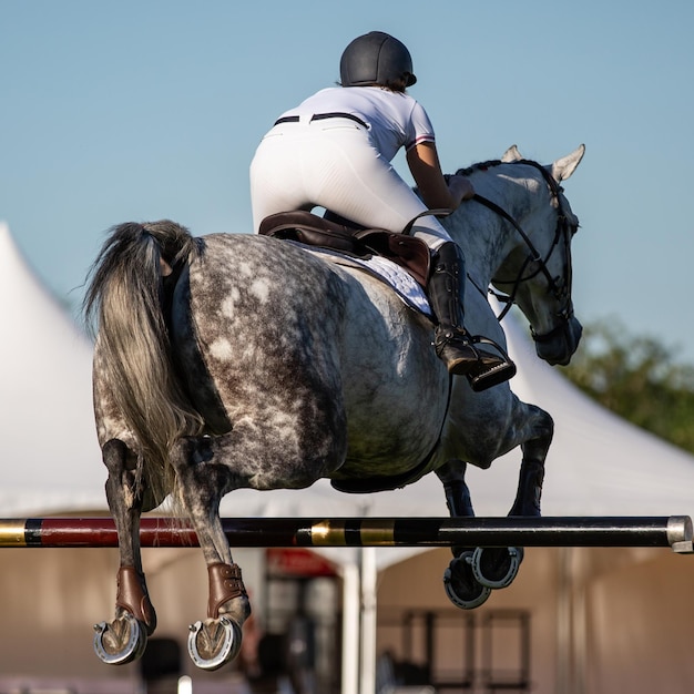 Foto achtergrond van een man die op een paard rijdt tegen de lucht