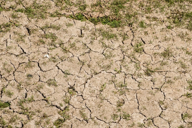 Achtergrond van gedroogd crackland tijdens droogte met goede textuur