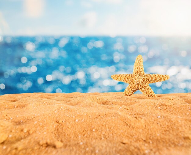 Achtergrond van geïsoleerde zeester op het gouden strand