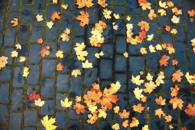 achtergrond van gevallen bladeren / gele en oranje gevallen herfstbladeren op de grond in een stadspark. Textuur van herfstbladeren, concept van herfstfoto