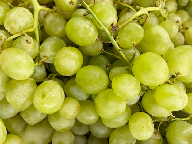 Achtergrond van groene Kishmish-druiven in close-up. Textuur van kishmish-druiven